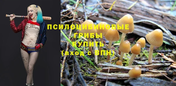 герыч Касимов
