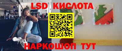 прущие грибы Пенза
