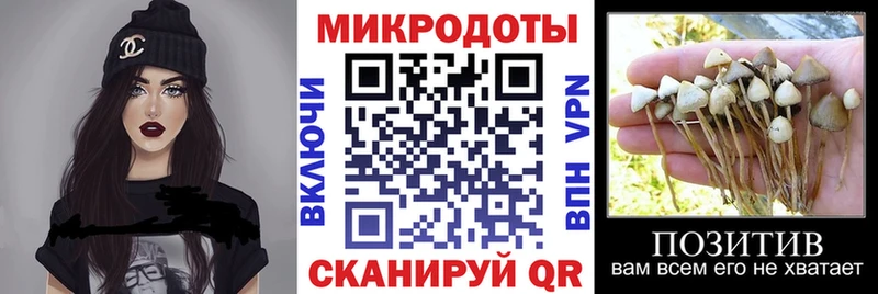где купить наркотик  Мирный  Псилоцибиновые грибы MAGIC MUSHROOMS 