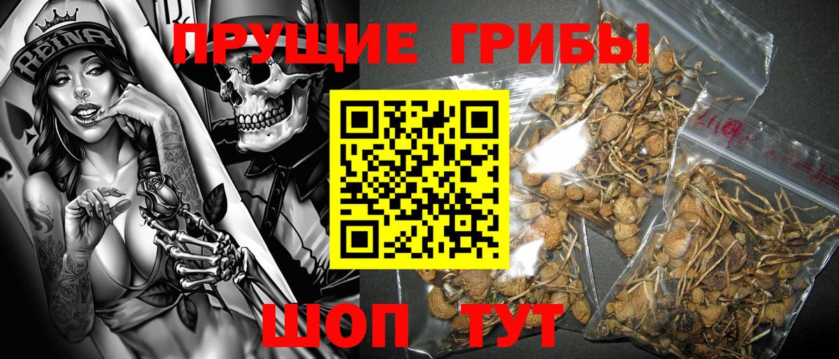 Мирный  Галлюциногенные грибы мицелий  где можно купить наркотик  Вход с VPN 