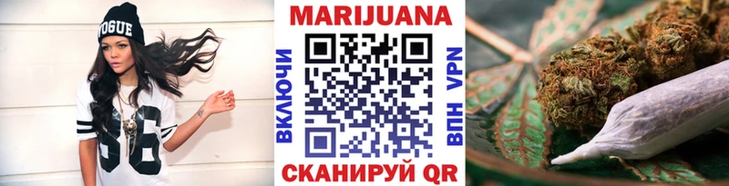 Бошки Шишки планчик Мирный